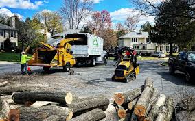 Lawn Renovation and Restoration in Elgin, MN