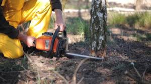 Lawn Irrigation Installation and Maintenance in Elgin, MN