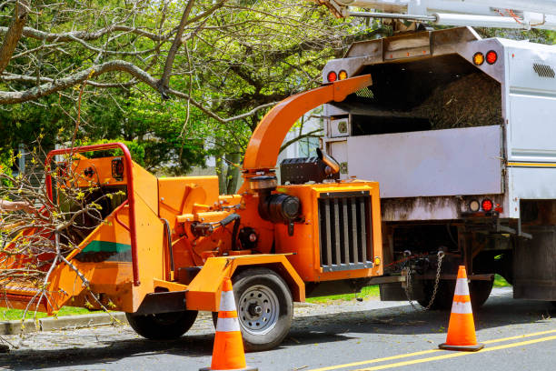 Best Soil Testing and Treatment  in Elgin, MN